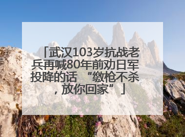 武汉103岁抗战老兵再喊80年前劝日军投降的话 “缴枪不杀，放你回家”