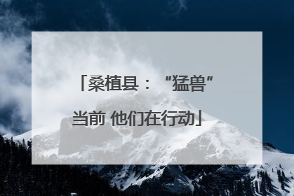 桑植县：“猛兽”当前 他们在行动