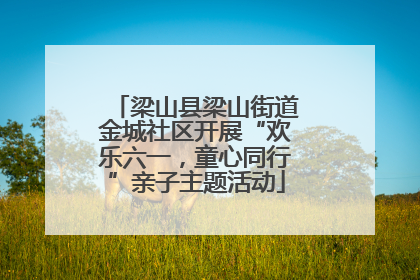 梁山县梁山街道金城社区开展“欢乐六一，童心同行”亲子主题活动