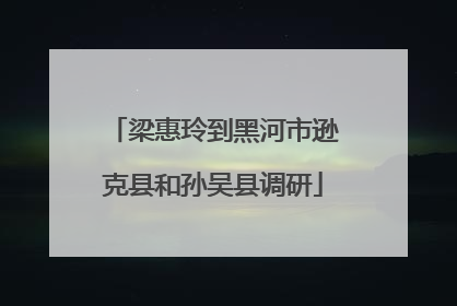 梁惠玲到黑河市逊克县和孙吴县调研