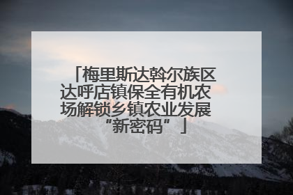 梅里斯达斡尔族区达呼店镇保全有机农场解锁乡镇农业发展“新密码”