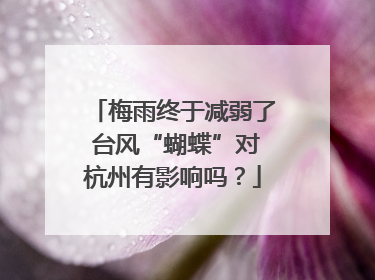梅雨终于减弱了 台风“蝴蝶”对杭州有影响吗？