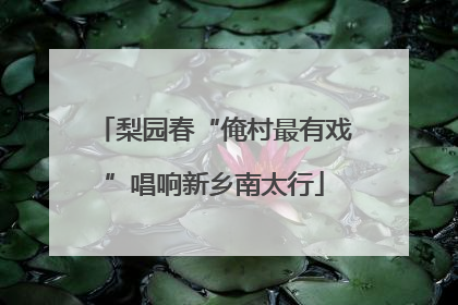 梨园春“俺村最有戏”唱响新乡南太行