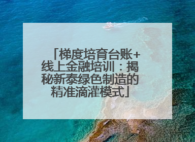 梯度培育台账+线上金融培训：揭秘新泰绿色制造的精准滴灌模式