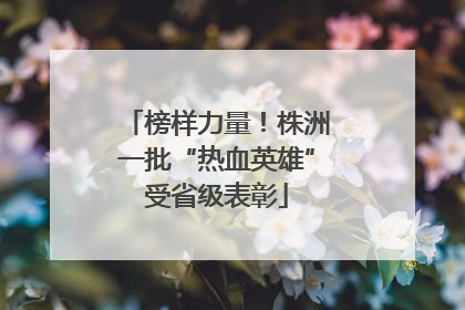 榜样力量！株洲一批“热血英雄”受省级表彰