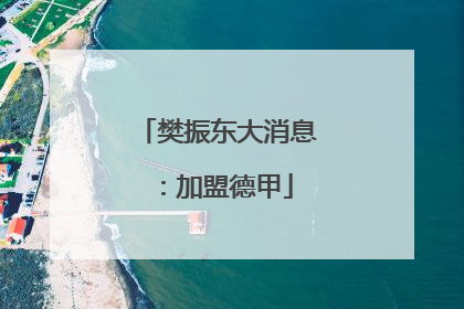 樊振东大消息：加盟德甲