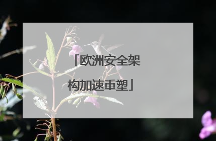 欧洲安全架构加速重塑