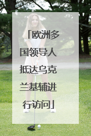 欧洲多国领导人抵达乌克兰基辅进行访问
