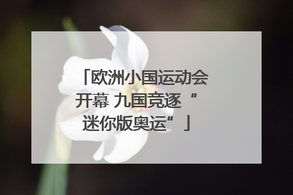 欧洲小国运动会开幕 九国竞逐“迷你版奥运”