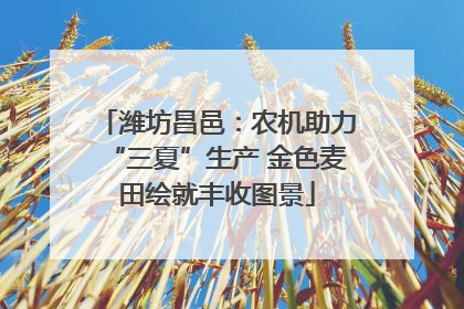 潍坊昌邑：农机助力“三夏”生产 金色麦田绘就丰收图景