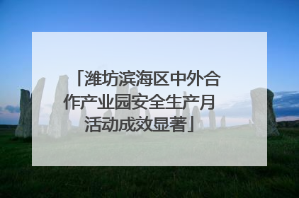 潍坊滨海区中外合作产业园安全生产月活动成效显著