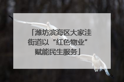 潍坊滨海区大家洼街道以“红色物业”赋能民生服务