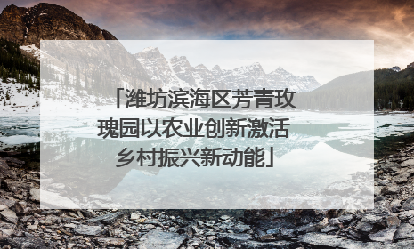 潍坊滨海区芳青玫瑰园以农业创新激活乡村振兴新动能