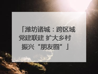 潍坊诸城：跨区域党建联建 扩大乡村振兴“朋友圈”