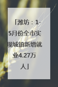 潍坊：1-5月份全市实现城镇新增就业4.27万人