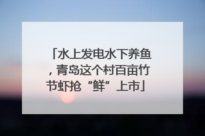 水上发电水下养鱼，青岛这个村百亩竹节虾抢“鲜”上市