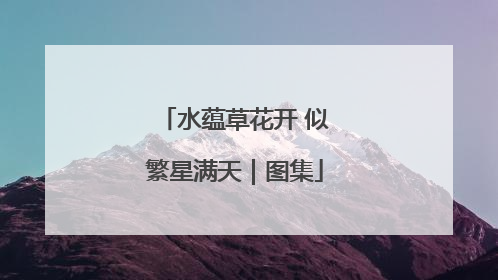 水蕴草花开 似繁星满天｜图集