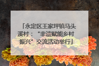永定区王家坪镇马头溪村：“非遗赋能乡村振兴”交流活动举行