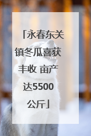 永春东关镇冬瓜喜获丰收 亩产达5500公斤