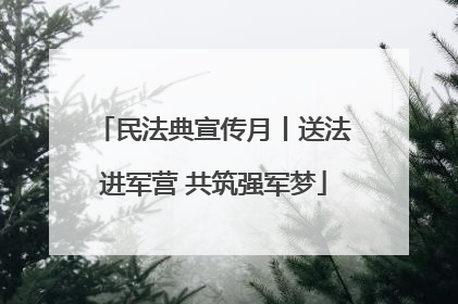 民法典宣传月丨送法进军营 共筑强军梦