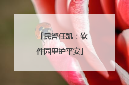 民警任凯：软件园里护平安