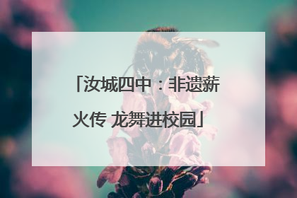 汝城四中：非遗薪火传 龙舞进校园