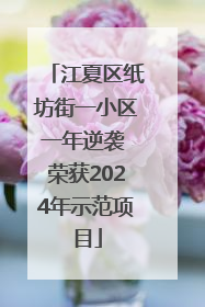 江夏区纸坊街一小区一年逆袭 荣获2024年示范项目