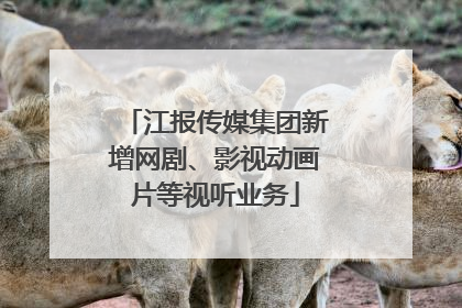 江报传媒集团新增网剧、影视动画片等视听业务