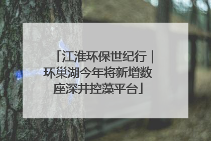江淮环保世纪行｜环巢湖今年将新增数座深井控藻平台