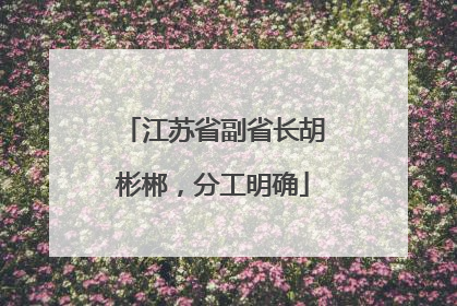 江苏省副省长胡彬郴，分工明确