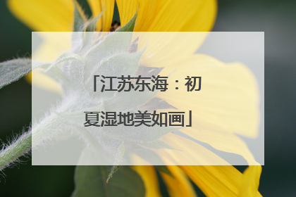江苏东海：初夏湿地美如画