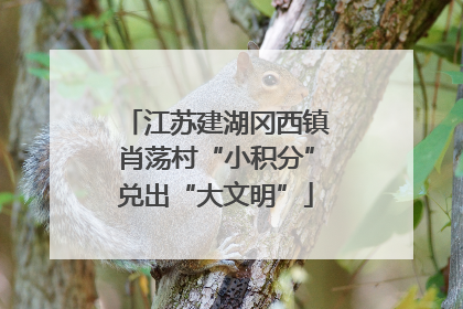 江苏建湖冈西镇肖荡村“小积分”兑出“大文明”
