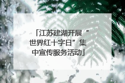 江苏建湖开展“世界红十字日”集中宣传服务活动