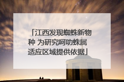 江西发现蜘蛛新物种 为研究呵叻蛛属适应区域提供依据