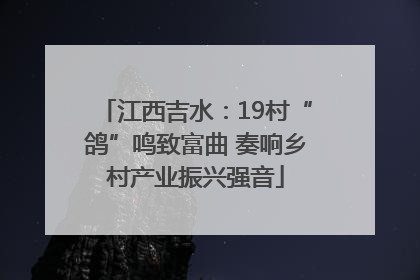 江西吉水：19村“鸽”鸣致富曲 奏响乡村产业振兴强音