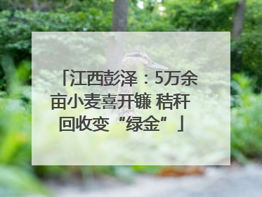 江西彭泽：5万余亩小麦喜开镰 秸秆回收变“绿金”