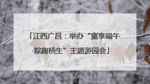 江西广昌：举办“童享端午·粽趣横生”主题游园会
