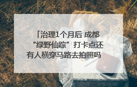 治理1个月后 成都“绿野仙踪”打卡点还有人横穿马路去拍照吗？｜民情瞭望