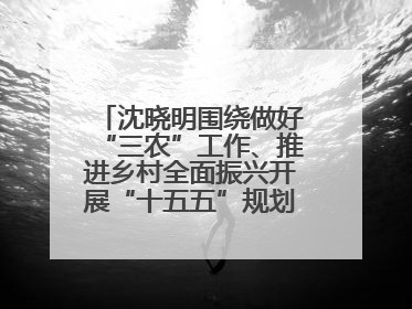 沈晓明围绕做好“三农”工作、推进乡村全面振兴开展“十五五”规划专题调研
