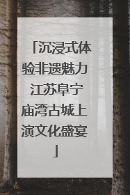 沉浸式体验非遗魅力 江苏阜宁庙湾古城上演文化盛宴