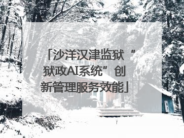 沙洋汉津监狱“狱政AI系统”创新管理服务效能