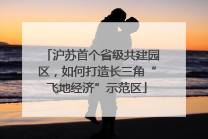 沪苏首个省级共建园区,如何打造长三角“飞地经济”示范区