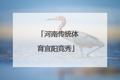 河南传统体育宜阳竞秀