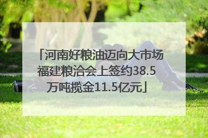 河南好粮油迈向大市场 福建粮洽会上签约38.5万吨揽金11.5亿元