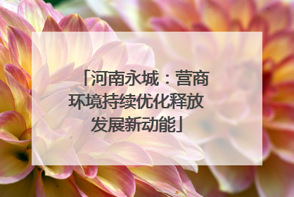 河南永城：营商环境持续优化释放发展新动能