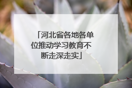 河北省各地各单位推动学习教育不断走深走实