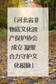 河北省非物质文化遗产保护协会成立 凝聚合力守护文化根脉