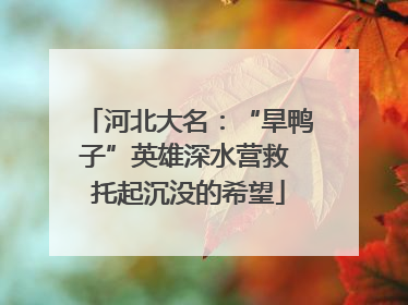 河北大名：“旱鸭子”英雄深水营救 托起沉没的希望