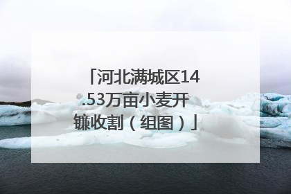 河北满城区14.53万亩小麦开镰收割（组图）