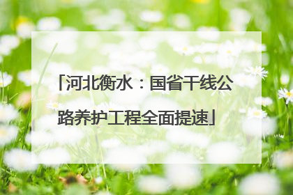 河北衡水：国省干线公路养护工程全面提速
